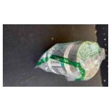 STANLEY GO Everyday Wine Tumbler 10 oz | Press Fit Drink Through Lid | Beverage, Coffee, and Cocktail Cup | Insulated Stainless Steel Wine Glass | BPA-Free | Cream Gloss