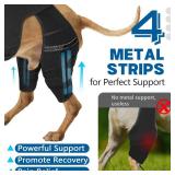 Marnonsis Dog Knee Brace for Torn Acl Hind Leg, 4 Stabilizers for Back Leg, Adjustable Hip Support to Reduces Pain, Ligament Injuries & Luxating Patella for Small Medium Large Dogs, S