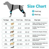 BaoGuai Knee Brace for 3GS97