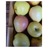 Wooden Apple Crate with Fresh Picked Plastic Apples and Pears