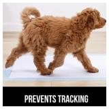 Gorilla Guard Disposable Puppy Pads, 100 Count, 5 Layer Pee Pads, Absorbent Changing Pad, 22x22 in