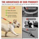 Nylon Dog Leash and Collar Set with Metal Quick Release Buckle, Adjustable, Durable High-Density Fabric, Breathable, Soft and Comfortable for Walking and Training, Silver-Gray, M (12.6"-19.6")