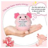 Positive Cute Axolotl Plush Toys, 3.5" Pink Emotional Inspirational Support Axolotl Plush with Positive Card, Funny Stuffed Birthday Gifts for Women Men Her Friends Coworkers Colleges Graduation