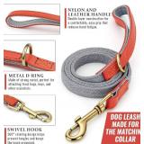 Nylon Dog Leash and Collar Set with Metal Quick Release Buckle, Adjustable, Durable High-Density Fabric, Breathable, Soft and Comfortable for Walking and Training, Silver-Gray, M (12.6"-19.6")