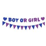 Pre-Strung Boy or Girl Banner - Royal Blue and Purple Glitter Gender Reveal Party Decorations - He or She Party Decor for Baby Shower Photo Booth Props - Retail: $13