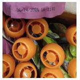 Peter Rabbit Organics Fruit & Vegetable Variety Pack - Squeezable Snack Pouches, 4 oz. (Pack of 36)