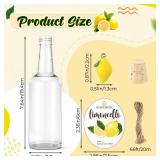 Vesici 10 Set 11oz Limoncello Plastic Bottles and Label with Cork Lids Mini Resin Lemon for Limoncello Homemade Brewing DIY Long Neck Bottles for Christmas Wedding Bridal Shower Gifts(Round Hangtag) -