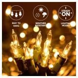 Joiedomi Christmas Net Lights,100 Warm White Net Lights for Indoor & Outdoor Decorations, Christmas Eve Night Decor, Christmas Tree, Bushes - Retail: $18