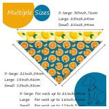 3 Count of Cute Fruit Dog Bandanas 2 Pack, 4 Patterns Watermelon Lemon Orange Melon, Summer Dog Bibs for Large and XL Breed, Reversible Boy and Girl Pet Scarf (Small) (6 Bandanas)