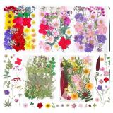 180Pcs Dried Pressed Flowers Resin Mould Real Pressed Flowers Natural Dry Leaves Bulk Mixed Colorful Herbs Kit with Tweezers for Scrapbooking DIY Candle Jewelry Crafts Making Nails