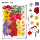 180Pcs Dried Pressed Flowers Resin Mould Real Pressed Flowers Natural Dry Leaves Bulk Mixed Colorful Herbs Kit with Tweezers for Scrapbooking DIY Candle Jewelry Crafts Making Nails