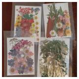 180Pcs Dried Pressed Flowers Resin Mould Real Pressed Flowers Natural Dry Leaves Bulk Mixed Colorful Herbs Kit with Tweezers for Scrapbooking DIY Candle Jewelry Crafts Making Nails