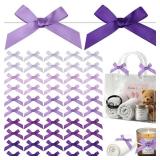 100 Pieces 2.6 Purple Series Valentine