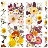92 Pcs Dried Pressed Flowers for Resin Molds, Vintage White Real Natural Bulk Dry Wildflowers Leaves Perfect for Epoxy, DIY Crafts, Nails, Soap Candles Jewelry Making, and Home Decor - Retail: $14