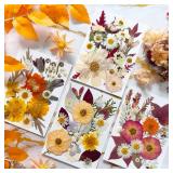 92 Pcs Dried Pressed Flowers for Resin Molds, Vintage White Real Natural Bulk Dry Wildflowers Leaves Perfect for Epoxy, DIY Crafts, Nails, Soap Candles Jewelry Making, and Home Decor - Retail: $14