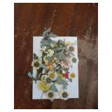 92 Pcs Dried Pressed Flowers for Resin Molds, Vintage White Real Natural Bulk Dry Wildflowers Leaves Perfect for Epoxy, DIY Crafts, Nails, Soap Candles Jewelry Making, and Home Decor - Retail: $14