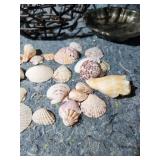 Decorative Metal Bowl Set with Seashells