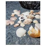 Decorative Metal Bowl Set with Seashells