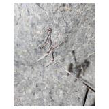 Kinetic Balancers Sports Figure Desktop Art Sculpture