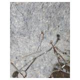 Kinetic Balancer Sports Figures Figure