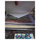 Winter Holiday Decor Collection