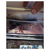 Winter Holiday Decor Collection