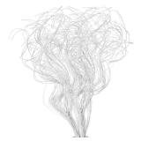 Glitter Curly Ting Ting Branches Christmas Branches Vase Filler Artificial Curly Twigs for Christmas Tree Garland Wreath Decoration, Craft Vases Home Garden Decoration (White, 36 Pieces) - Retail: $16