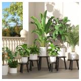 Vecxoty 3-Pack Wood Plant Stands Indoor, Single Plant Stand for 6-12 Inch Pots, Mid-Century Modern Plant Stool, Tall Plant Stand for Large Plants for Living Room, Balcony, Office (Black) MISSING ONE L