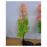 Solar Powered Garden Flowers Pink 2 Pack