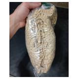 Muddy Mat | Super Absorbent Door Mat Indoor, Microfiber Quick Dry Chenille Entryway Rug, Non-Slip Front Door Mat, Indoor Mats for Entryway, Machine Washable Pet Rug, Beige 24x36