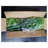 RECUTMS Artificial Outdoor Flowers Artificial Greenery Artificial Plant Bundles Spring Greenery Outdoor Plants Artificial UV Resistant for Porch Artificial Eucalyptus Stems,10 Pcs(Green)