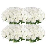 Hananona Artificial Roses in Bulk, Fake Silk White Roses Realistic Roses for Wedding Centerpieces Flower Arrangement Home Decor (100, White)