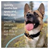 Veterinary Formula Clinical Care Hot Spot & Itch Relief Medicated Spray, 8oz â Easy to Use Spray for Dogs & Cats â Helps Alleviate Sensitive Skin, Scratching, and Licking of Coat (1 Pack) - 