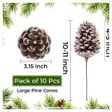 10 Pieces Large Christmas Pine Cones Decorations Picks - Frosted Snow Pine Cones for Christmas Tree, Garland Wreath Ornaments Home Decorating Pinecones Winter Holidays - Retail: $20