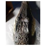 12.6 Inches Floating Alligator Head Pool Accessories Float Alligator Fake Crocodile Decoy Crocodile Floating Head for Goose, Heron, Duck Control, Pool, Garden and Patio Accessories - Retail: $21