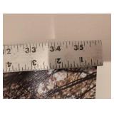 Forest  Canvas Wall Art