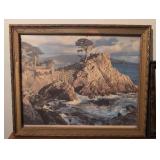 Monterey Peninsula California Coast Framed Photographs