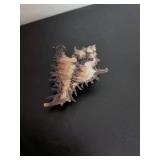 Mixed Stone and Shell Collection