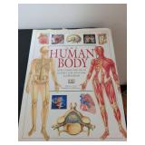 DK The Human Body: An Illustrated Guide