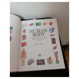 DK The Human Body: An Illustrated Guide