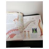 DK The Human Body: An Illustrated Guide