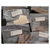 Traditional Chinese Herbal Medicine Collection