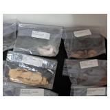 Traditional Chinese Herbal Medicine Collection