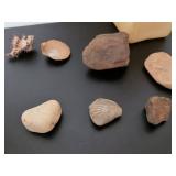 Mixed Stone and Shell Collection