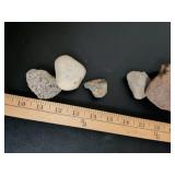 Mixed Stone and Shell Collection