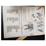 The Visible Woman Anatomy Model Kit by Renwal