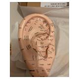 Acupuncture Training Model Head