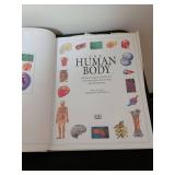 DK The Human Body: An Illustrated Guide