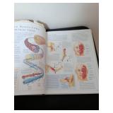 DK The Human Body: An Illustrated Guide