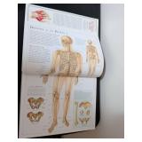 DK The Human Body: An Illustrated Guide